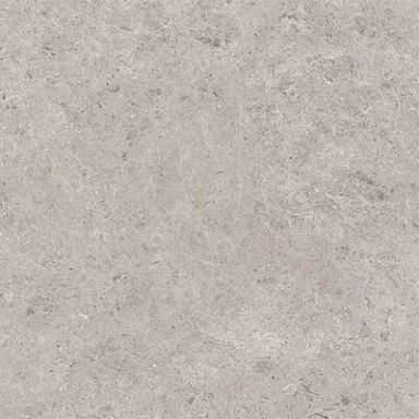 Seashell Gravita