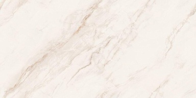 Керамогранит Neodom N20765 Angelo Oro DG Carving 60x120