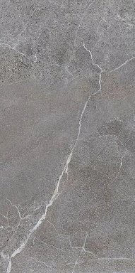 Керамогранит LB-Ceramics 6493-0147 Гроза серый 60х120