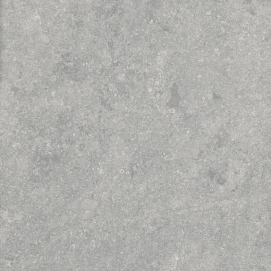 Керамогранит Alpas Euro Fossil Gris 20mm 60x60