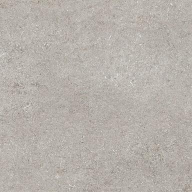 Керамогранит Casa Dolce Casa 768369 Sensi Grey Fossil R+PTV Ret 80x80