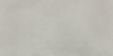 Плитка FAP Ceramiche fRQ7 Color Mood Grigio Matt 80x160