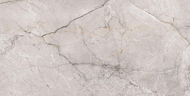 Керамогранит Alpas Euro Marble Dragon Grey Silk 60x120