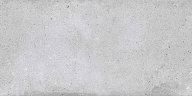 Керамогранит NT Ceramic NTTVL99826M Rockstar New York Matt 60x120