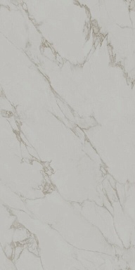 Керамогранит Kerama Marazzi SG593122R Монте Тиберио серый светлый лаппатированный обрезной 119,5x238,5x0,9