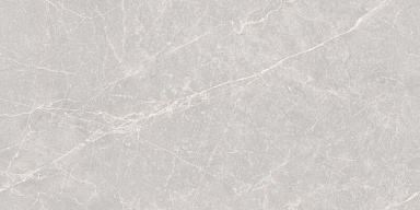 Керамогранит Neodom N20582 Bayona Grey Carving 80x160