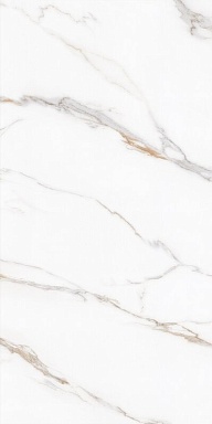 Керамогранит Protiles PT12J7058 Bianco Carving 1200х600х9