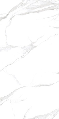 Керамогранит NT Ceramic NTT3009M Statuario Mat 120x240