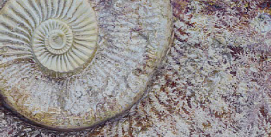 Керамогранит Serapool FM3366 Fossil Mix 33х66