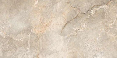 Керамогранит Leopard 6502 Silver Polished 60x120