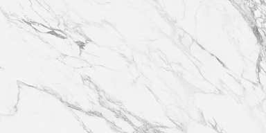 Керамогранит NT Ceramic NTT99528P Artic statuario Glossy 60x120