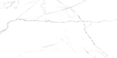 Керамогранит Laparet SG50002420R Discovery Blanco белый 60х119,5