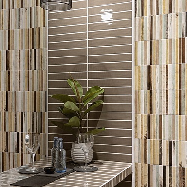 Tropic Mainzu