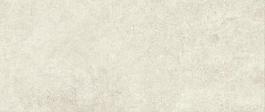 Плитка Atlas Concorde Italy AYQM Boost Icor Bone Field Matte 50x120