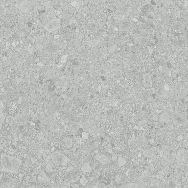 Керамогранит LB-Ceramics 6461-0425 Иней Tech Серый 60х60