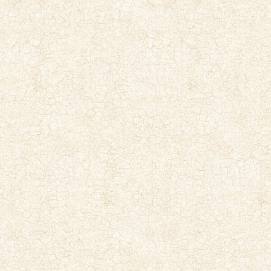Керамогранит Delacora FT4DIL01 Diana Limb 41x41