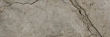 Плитка Eurotile 800 Passion Dark 29.5x89.5