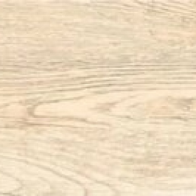 Celtis Avroria