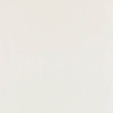 Керамогранит Paradyz Elegant Surface Bianco Gres Rekt Mat 59.8x59.8
