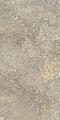 Керамогранит Cercom 10893241 Everbrown Rett (P) 60х120