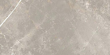 Керамогранит Cerim 766630 Elemental Grey Dolomia Luc Ret 30x60