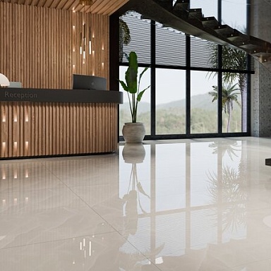 Onyx Protiles