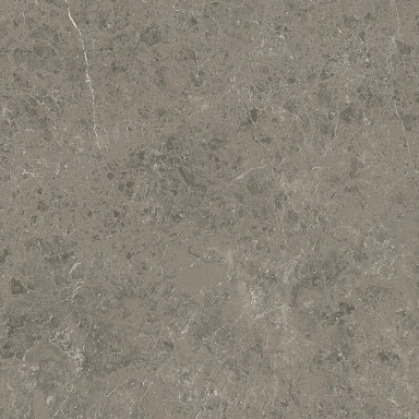 Керамогранит Atlas Concorde Italy AJIF Marvel Meraviglia Grigio Elegante Lapp. 120x120