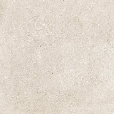 Керамогранит Neodom N12051 Eden Light Matt 120x120