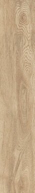 Керамогранит Artcer 1061 Parma Miel Mate 120x20
