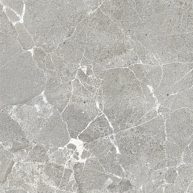 Керамогранит ProGRES Ceramica NR0388-M Гарсия Серый матовый 600x600x9.5