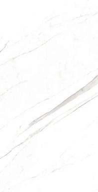 Керамогранит Artcer Marble Super Satvario 120x60