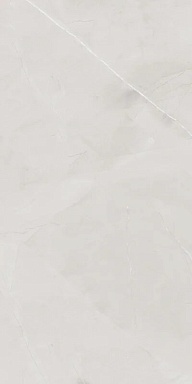 Керамогранит BELLEZA Armani Harbor Silver Glossy 60х120