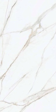 Керамогранит Naxos 120124 Emotion Naturale Rettificato 60X120