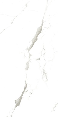 Керамогранит Artcer 902 Vena Fine Statuario 120x60