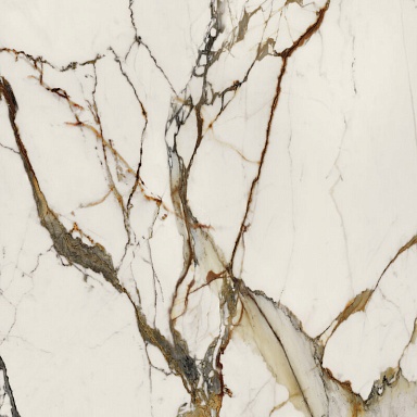 Керамогранит Porcelanosa 100331160 Xlight Paonazzo Biondo Silk 120x120