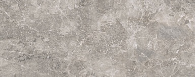 Плитка Porcelanosa 100303462 Elegant Grey 59.6x150