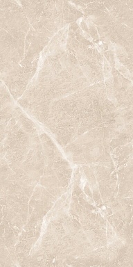 Керамогранит Artcer 894 Gem Grey 120x60