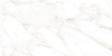 Керамогранит NT Ceramic NTT99526M Marble Extra Endless 60x120