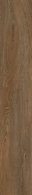 Керамогранит Creto Forest Ocher неполированный 19,4х120х9
