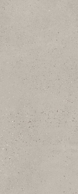 Плитка Kerama Marazzi 7256 Скарпа серый матовый 20x50x0,8