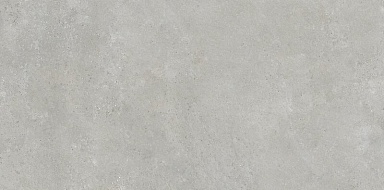 Керамогранит Neodom N110009 Urban Grey Matt 60x120
