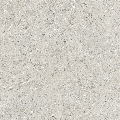 Керамогранит Ceradim CR6060G0461R8 Гранито Гриджио серый матовый 59.5х59.5