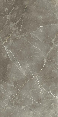 Керамогранит Italon 610010002843 Stellaris Tuscania Grey Nat Ret 80x160