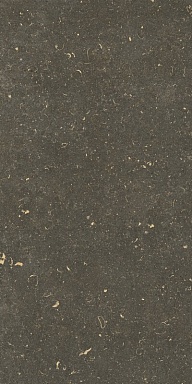 Керамогранит Casa Dolce Casa 785511 Rinascenza Arena Platino Grip 20mm 60x120
