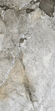 Керамогранит Ceramiche Piemme 06098 Calacatta Iron Satin/Ret 60x120