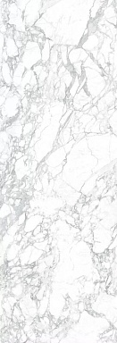 Керамогранит Laminam LAMFF00566_IT I Naturali Marmi Arabescato Lucidato 5 1000x3000