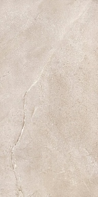 Керамогранит Dado Ceramica DNWS201 New Stone Daino 60x120
