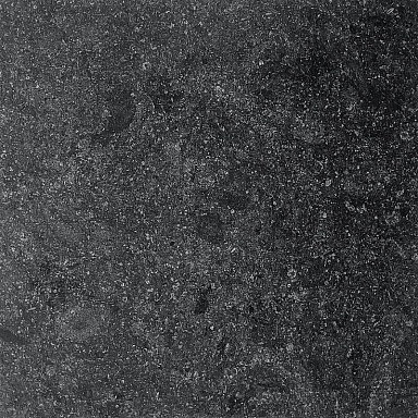 Керамогранит LandDecor Fossil Nero 20mm 60x60