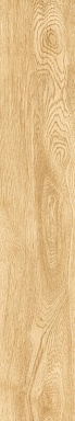Керамогранит Artcer 1064 Parma Honey Mate 120x20