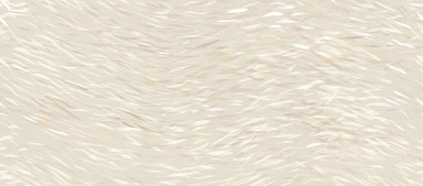 Декор Atlas Concorde Italy HDUD Vest Decoro Breath 6mm 120x278